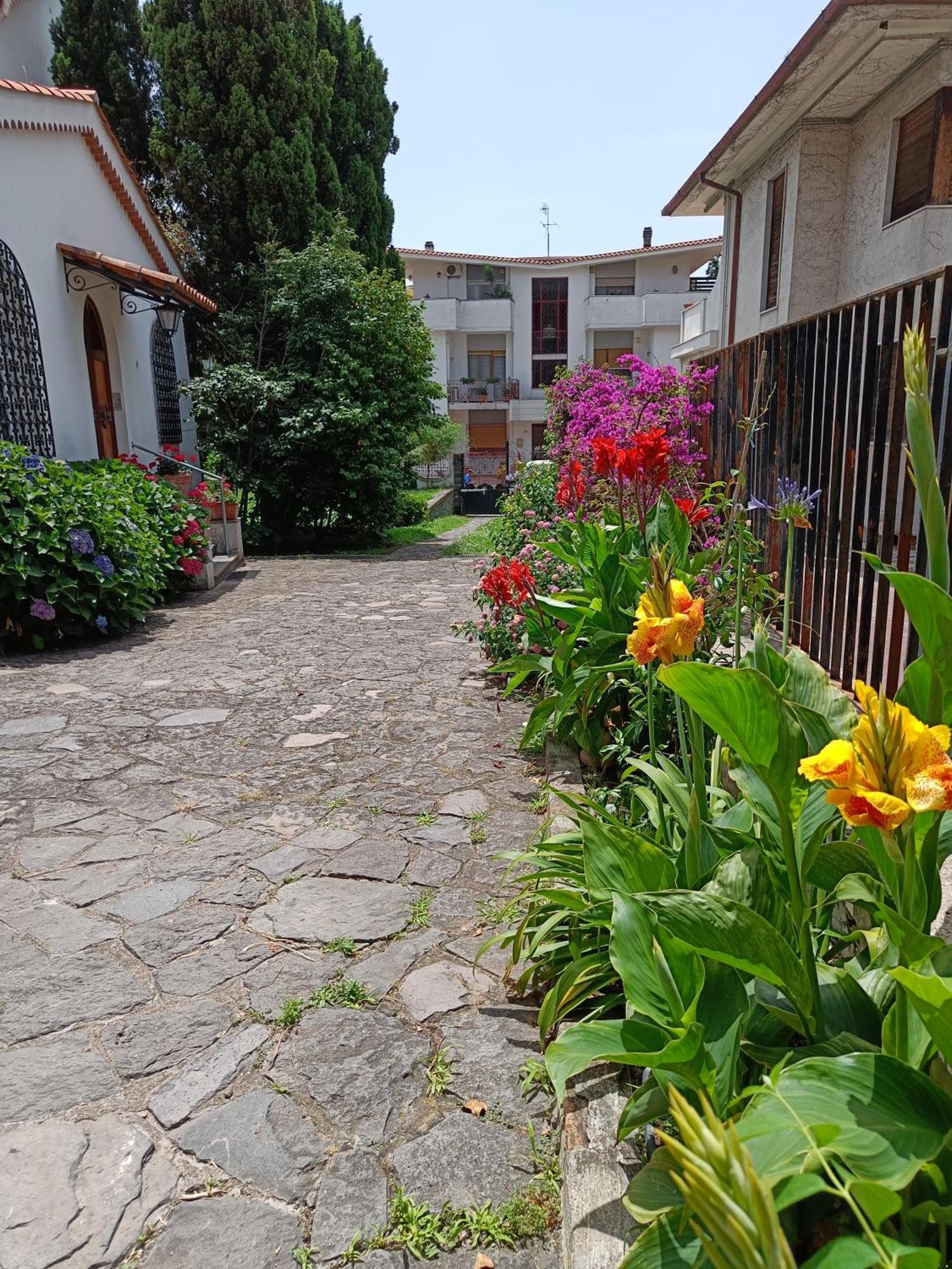 Apartmán Casa Olivella Torre del Greco Exteriér fotografie